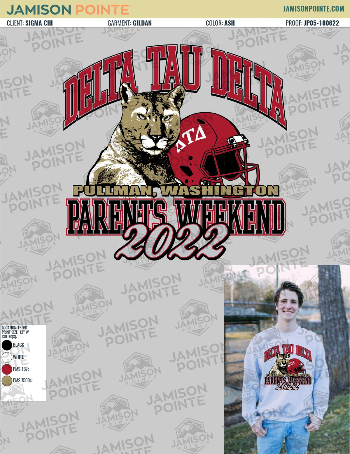 Delta Tau Delta Washington State University Parents Weekend T-Shirt