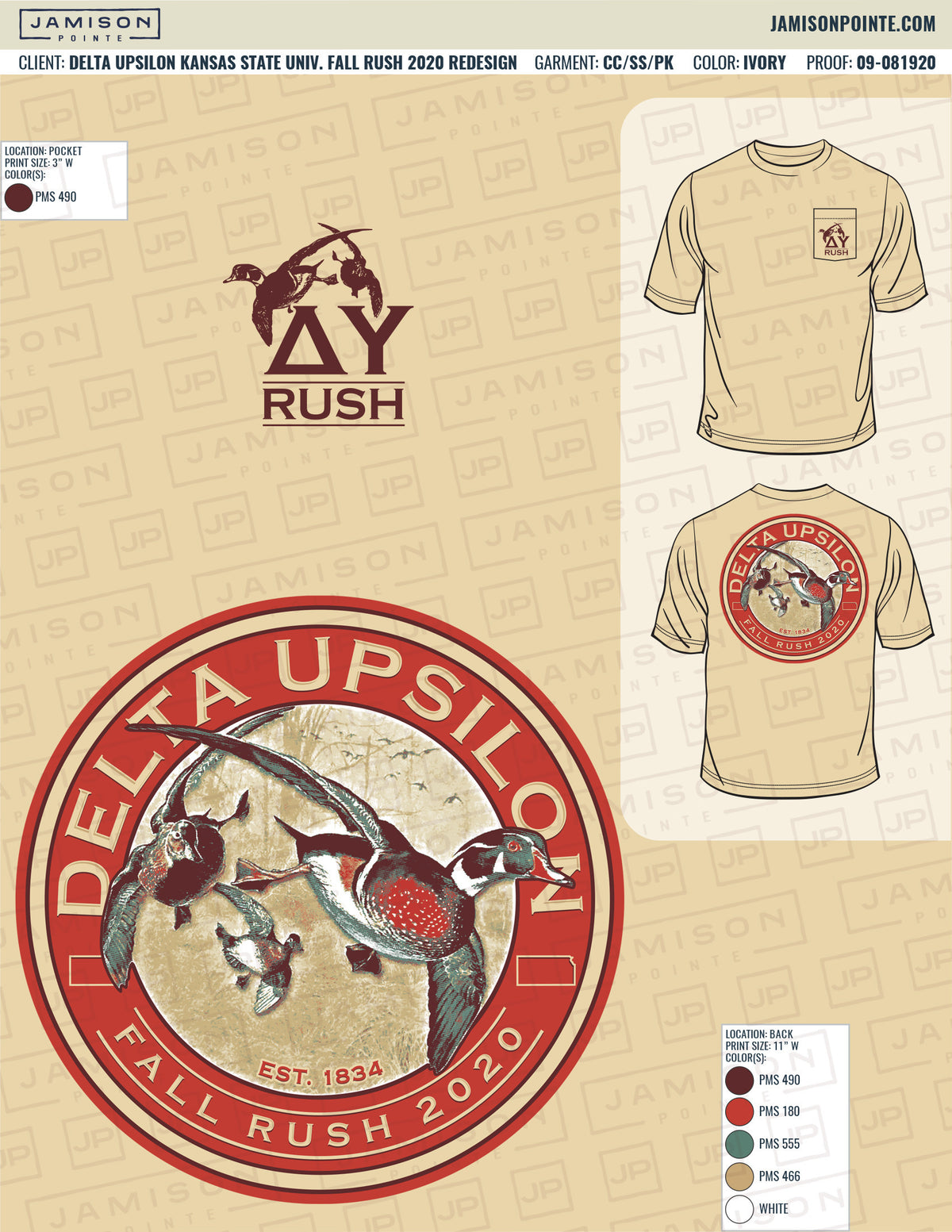 Delta Upsilon Kansas State University Fall Rush T-Shirt