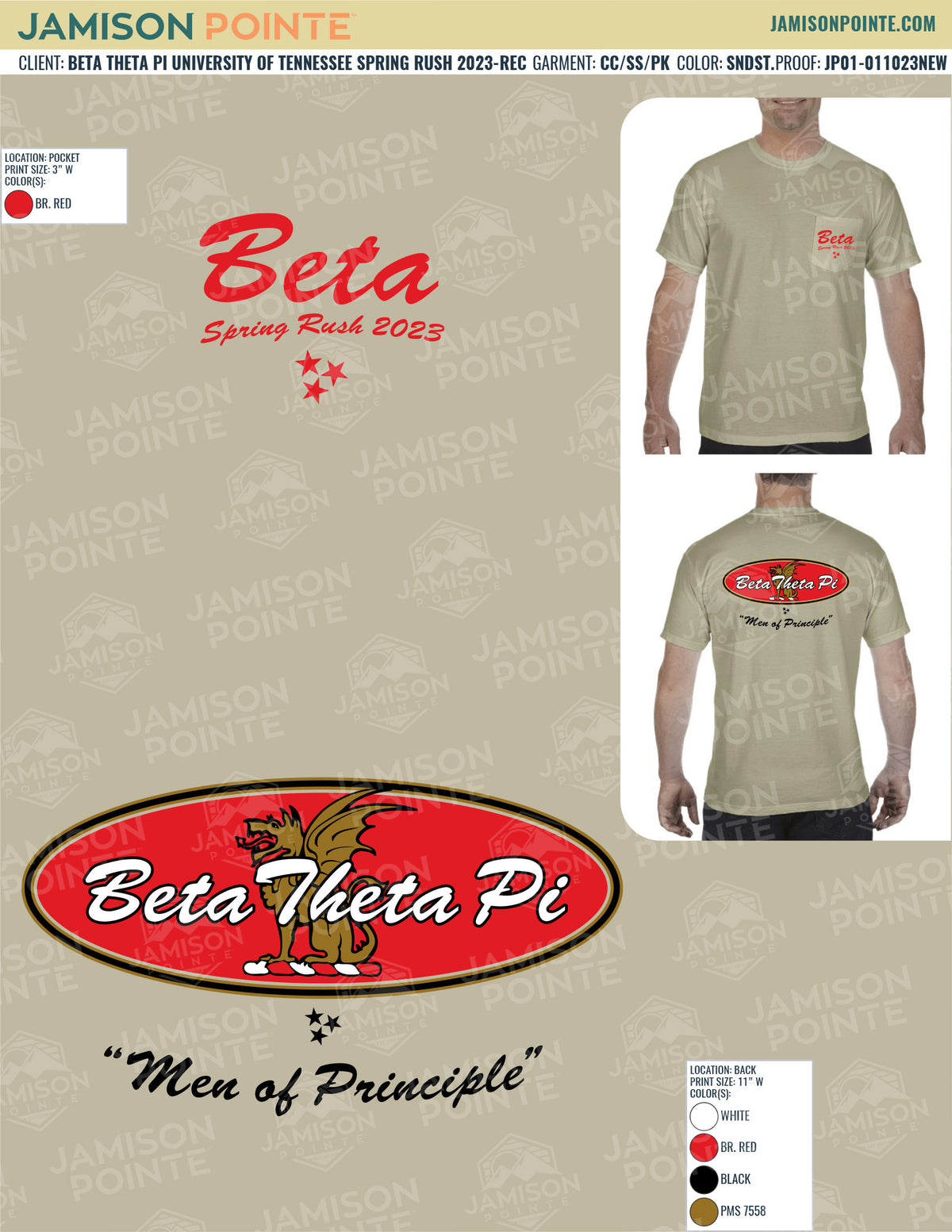 Beta Theta Pi University of Tennessee Spring Rush T-Shirt