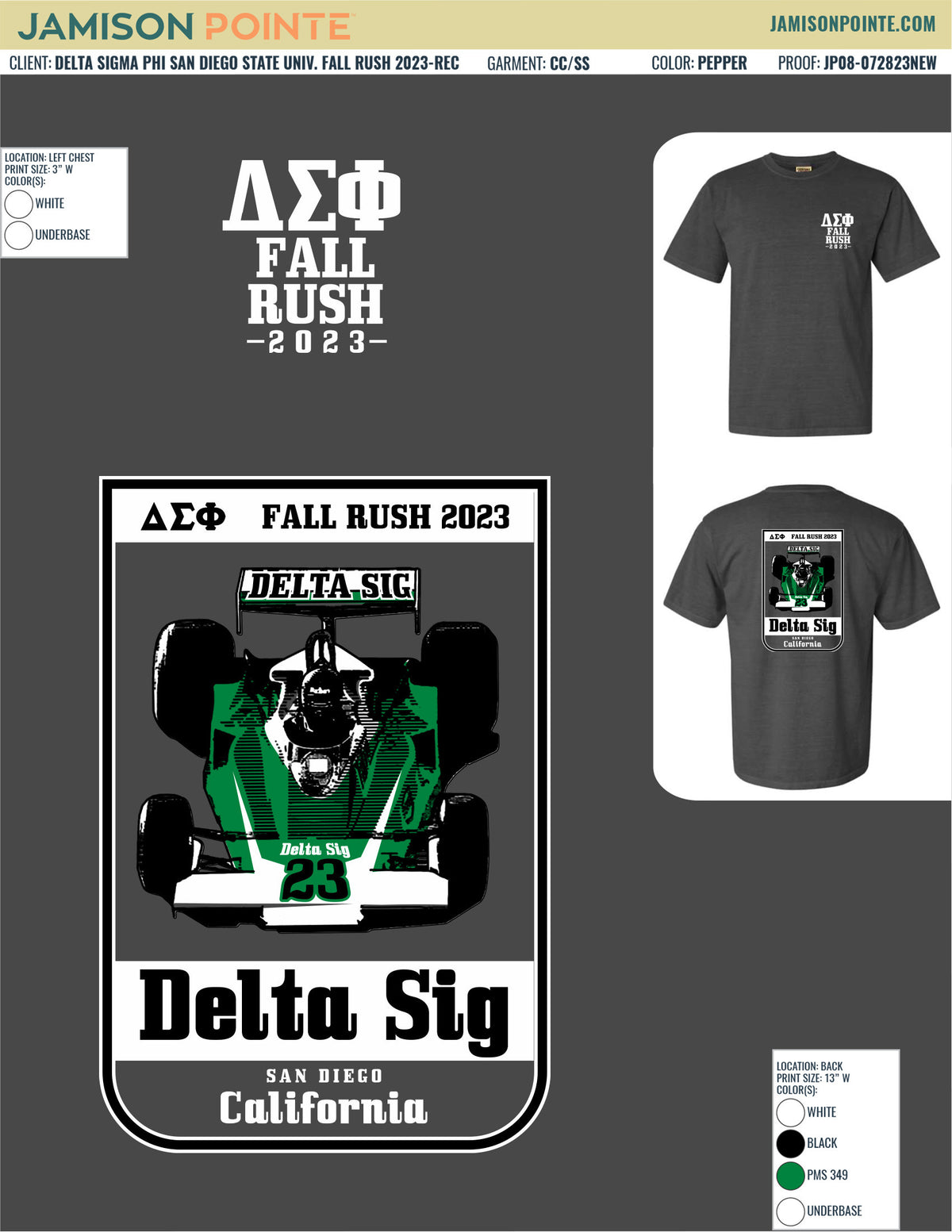 Delta Sigma Phi San Diego State University Fall Rush T-Shirt